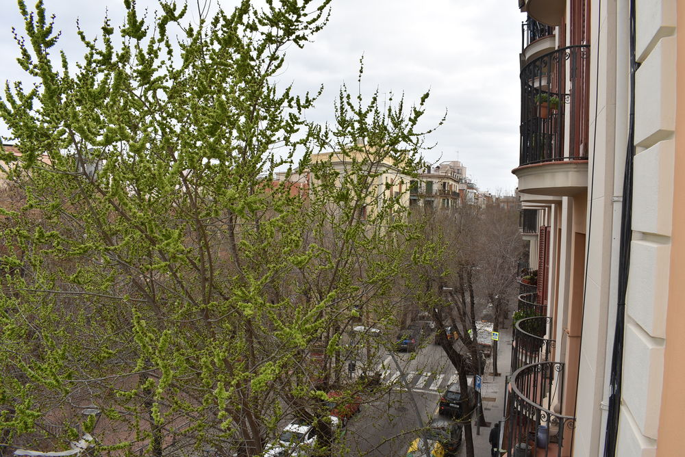 Habitatge reformada a punt per entrar a viure, 3 habitacions. dobles + 3 balcons