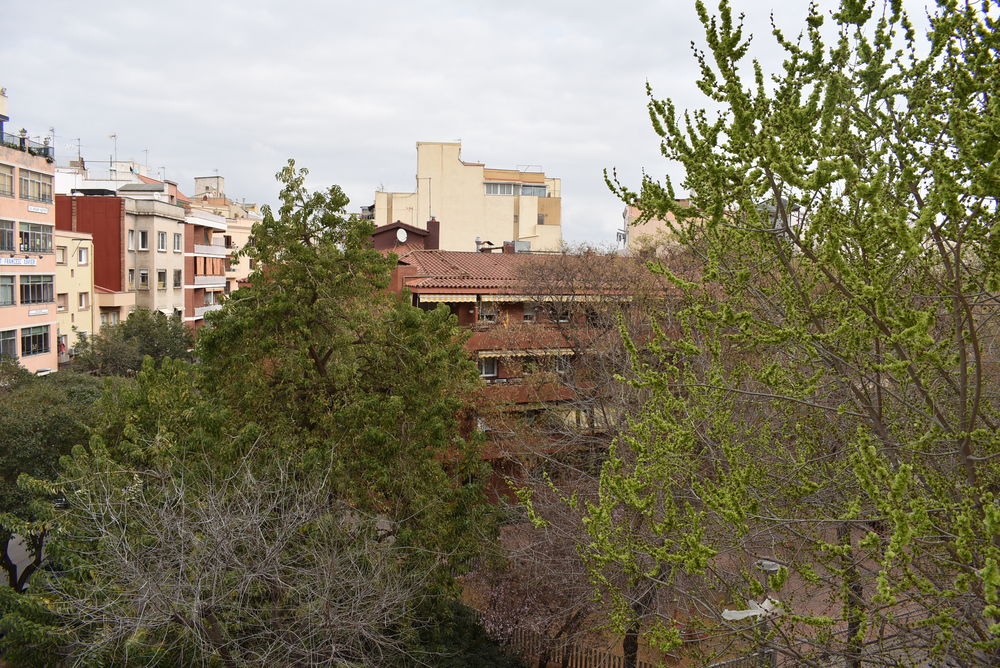 Habitatge reformada a punt per entrar a viure, 3 habitacions. dobles + 3 balcons