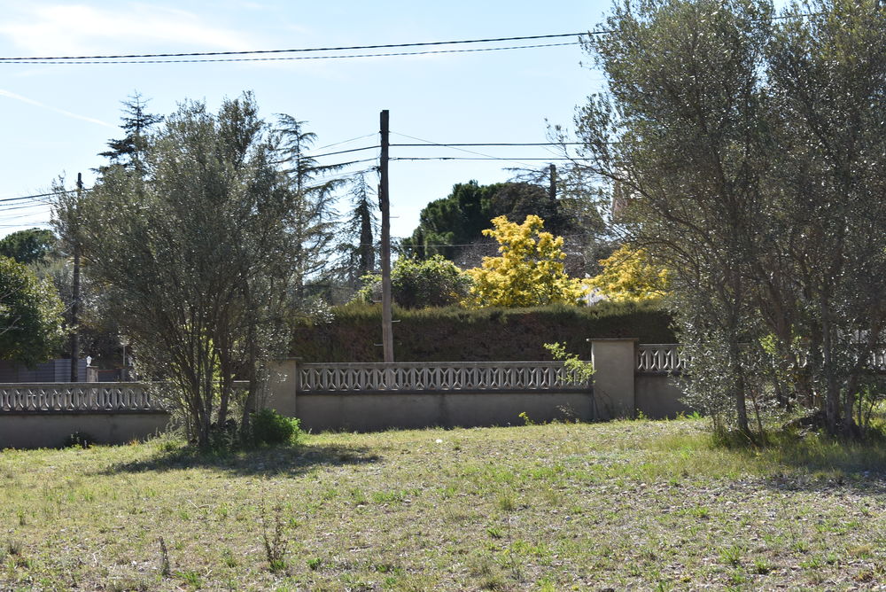 Precioso solar urbanizable se vende parcela entera o más pequeñas