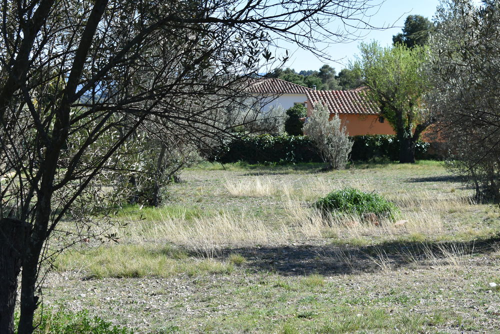 En venta gran terreno para edificar en Collbat