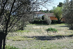 En venda gran terreny per edificar a Collbató