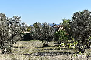 En venda gran terreny per edificar a Collbató