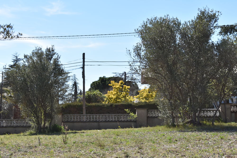 En venda gran terreny per edificar a Collbató