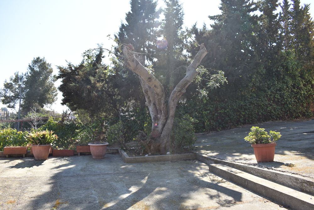 Precioso chalet independiente con gran terreno en urbanización el Nou Vendrell